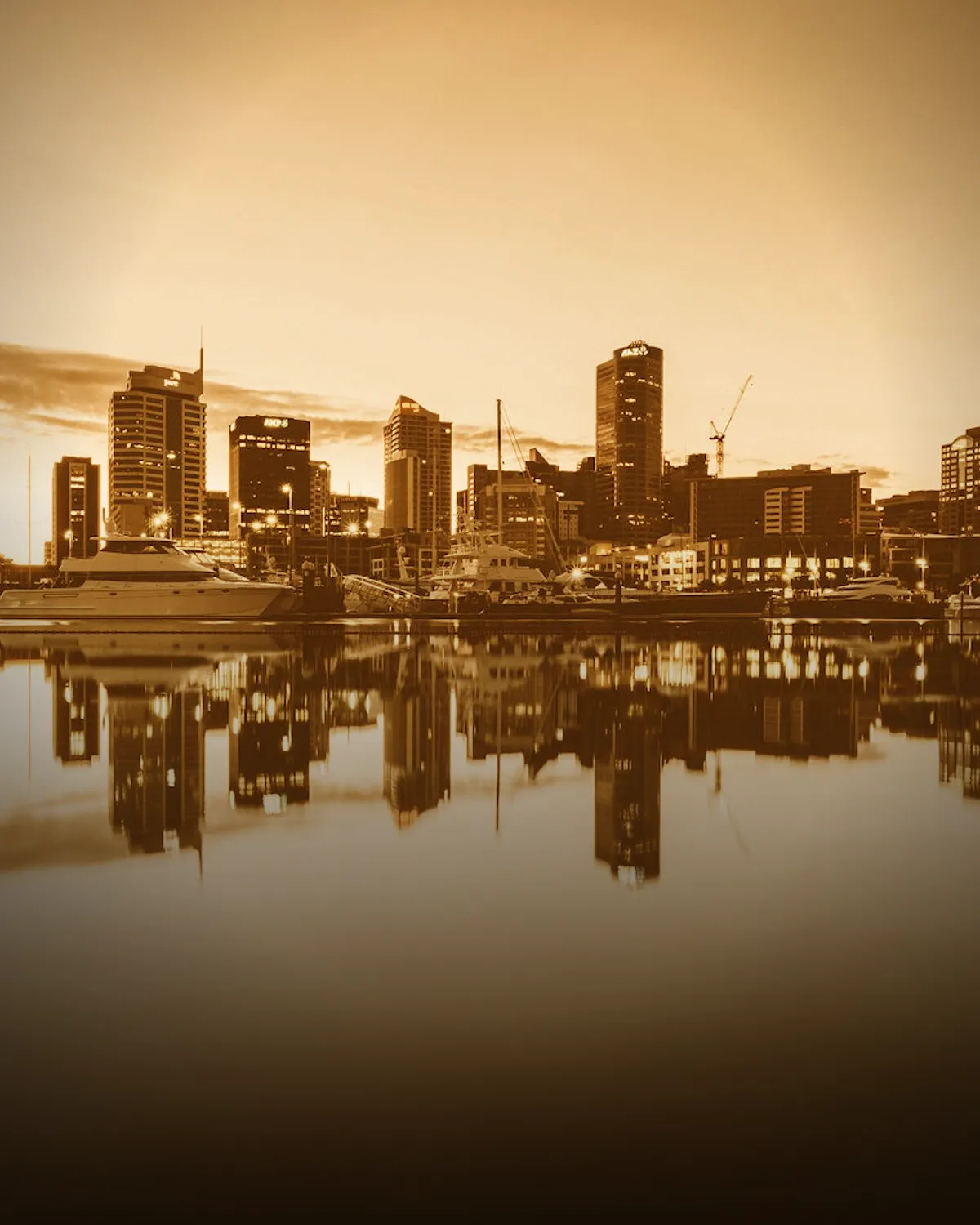 Auckland coffee scene