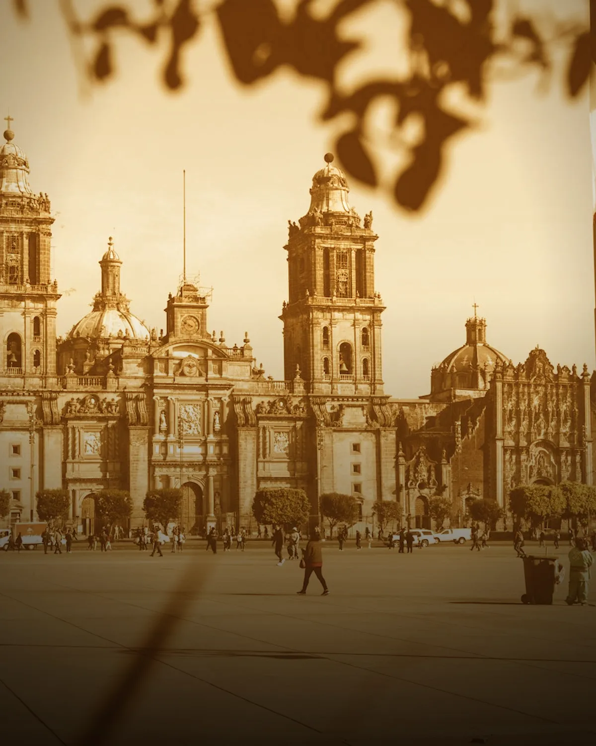 Mexico City coffee scene