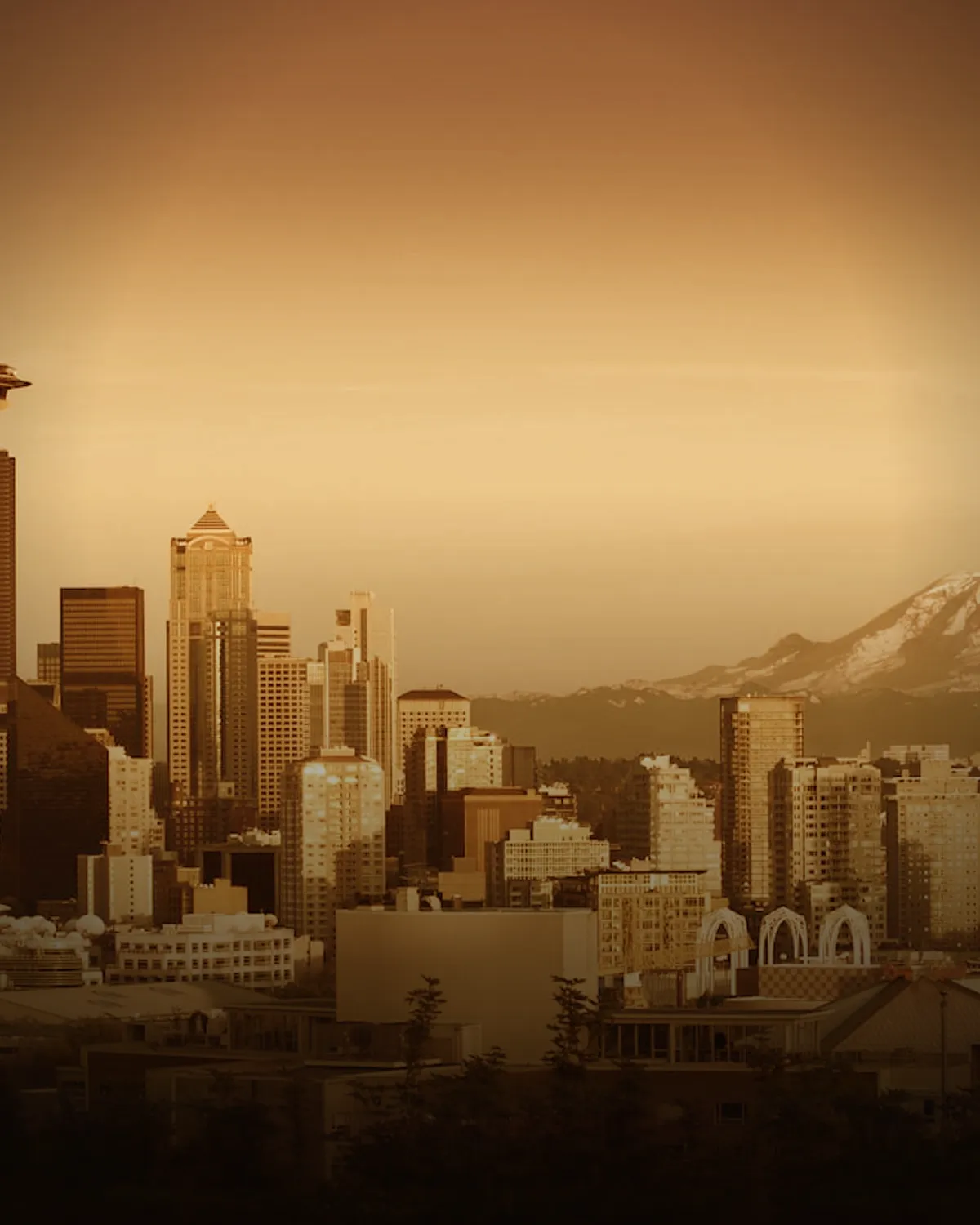 Seattle coffee scene